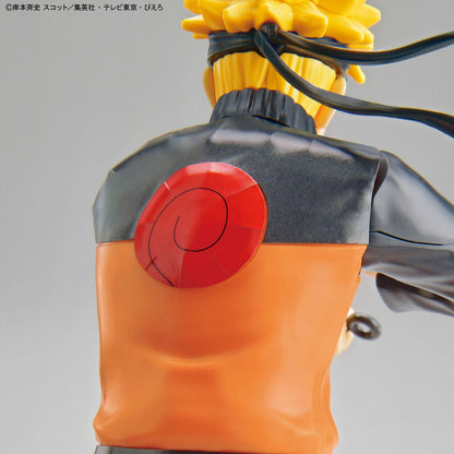 ENTRY GRADE Uzumaki Naruto