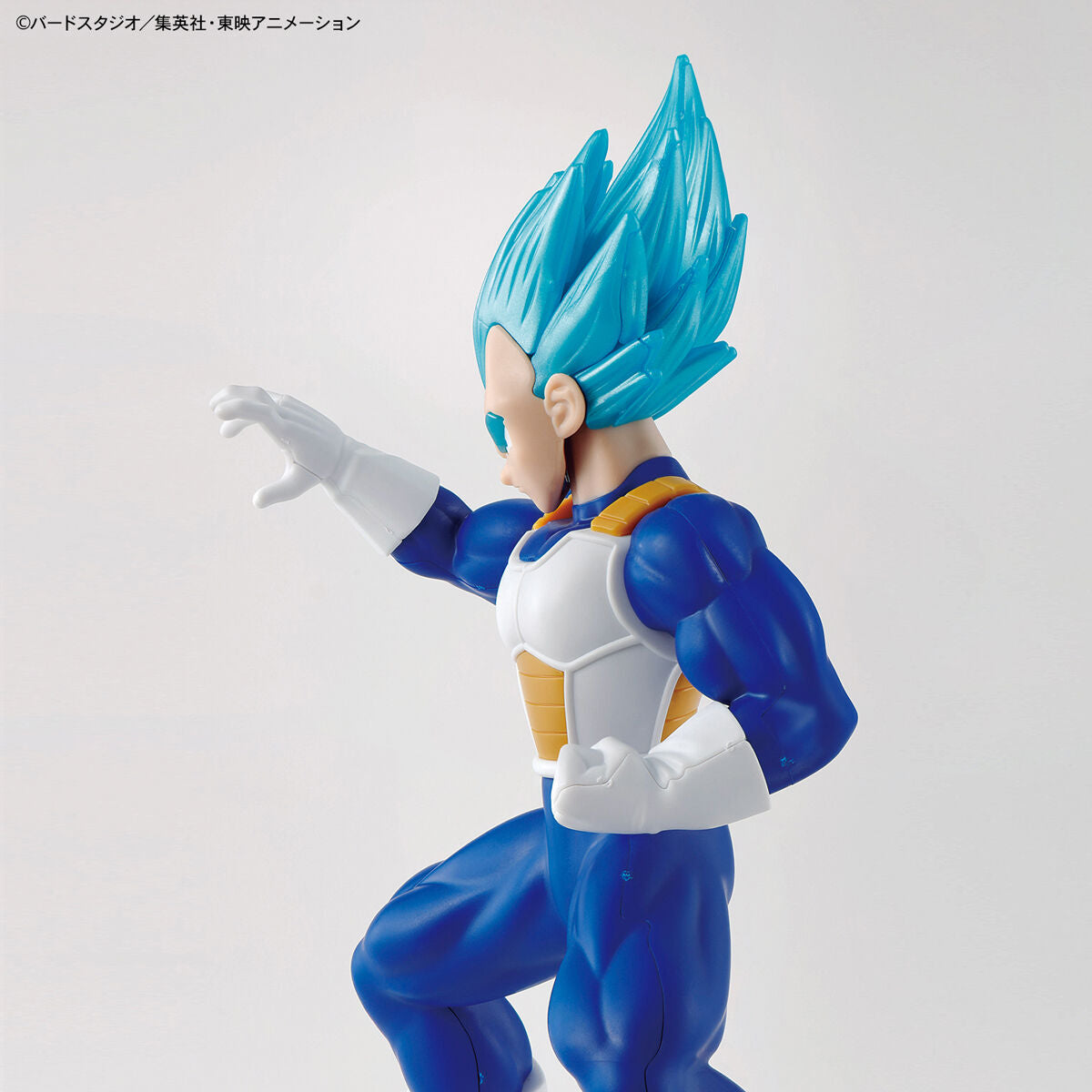 ENTRY GRADE Super Saiyan God Vegeta